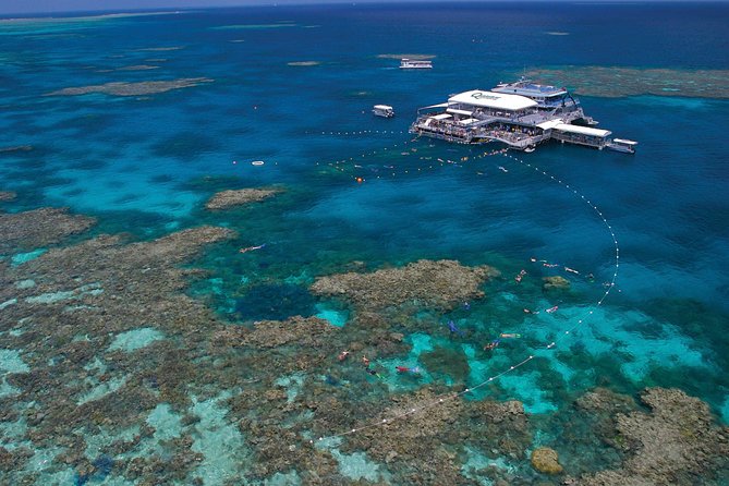 Quicksilver Great Barrier Reef Snorkel Cruise From Port Douglas - Review and Rating Summary