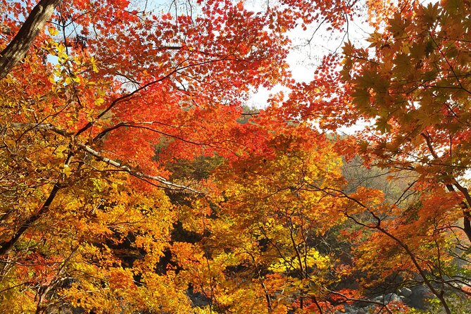 Scenic Jiri Mountain Autumn Foliage One Day Tour - Preparing for the Mountain Trek