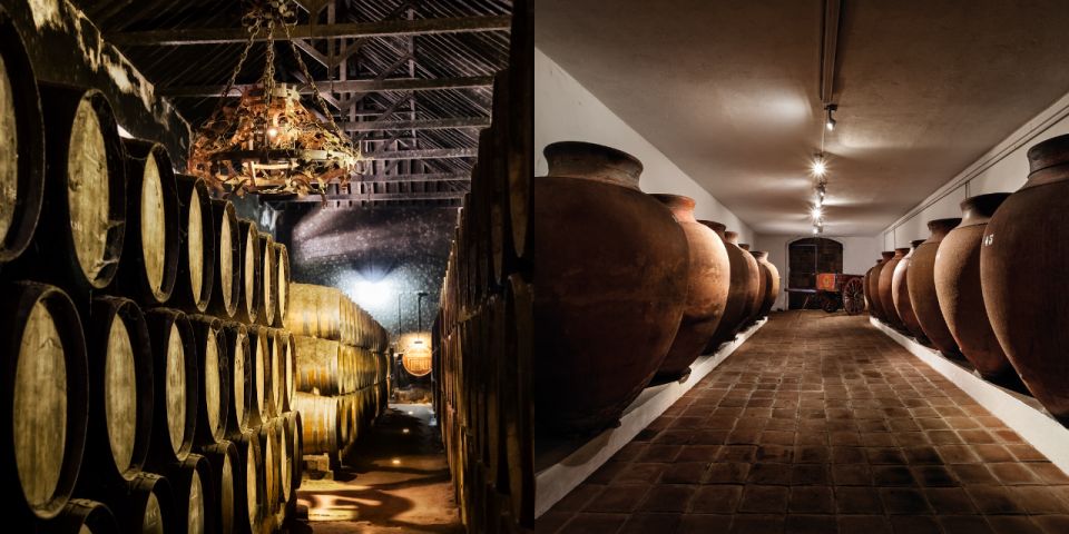 Setúbal Private Tour: Wines & Ceramic Tiles - Final Words