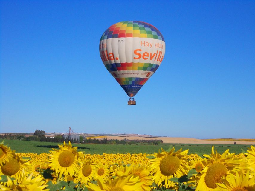 Seville: Hot Air Balloon Ride With Free Buffet Brunch & Cava - Pricing