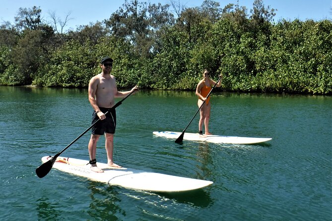Stand Up Paddle Board Tour - Tour Reviews and Ratings