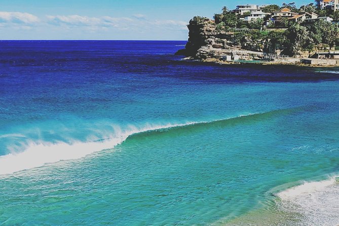 Sydney, The Rocks, Watsons Bay, Bondi Beach FULL DAY PRIVATE TOUR - Reviews and Testimonials From Guests
