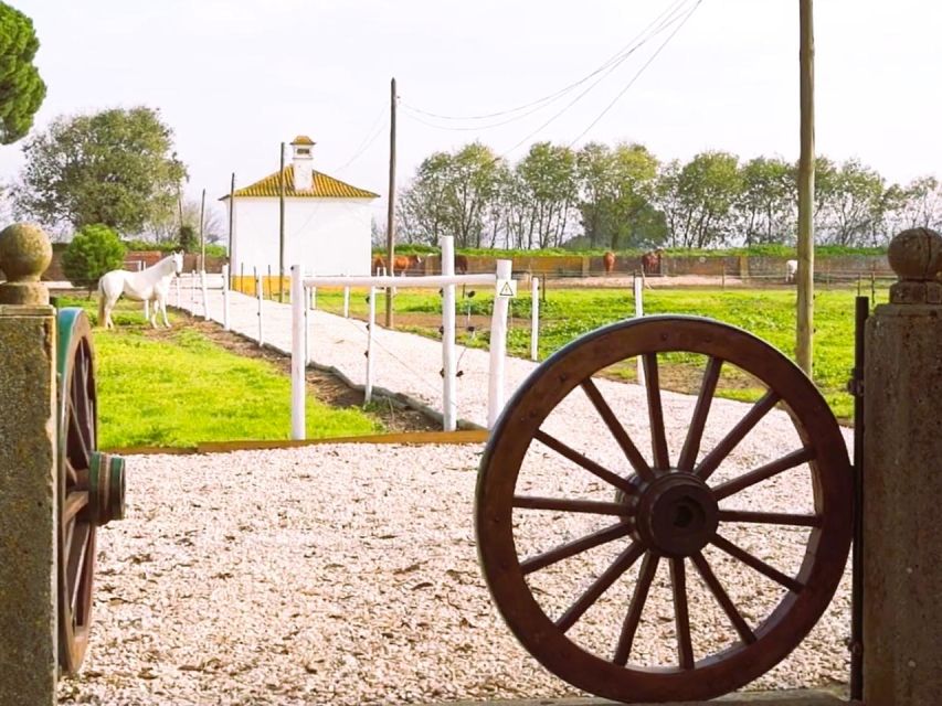 Tagus River & Ancient Production: Olive Oil, Wine and Horses - Final Words