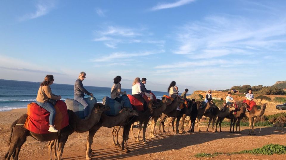 Tangier Tours With Ferry Ticket Camel Trek and Moroccan Food - Moroccan Food