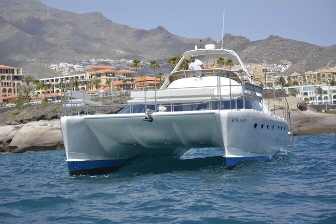 Tenerife Sunset Catamaran Tour With Transfer - Food and Drinks Included. - Final Words