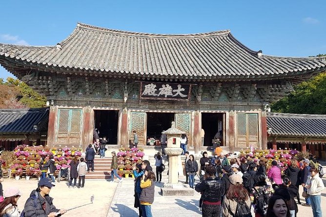 The Ancient City of Brilliant Shilla Kingdom - Gyeongju in One Day( or Overnite) - Capturing the Essence of Gyeongju