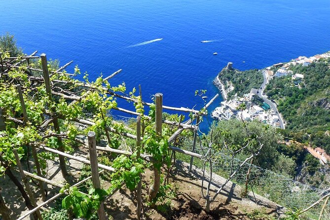 Walk, Cook & Eat of Amalfi Coast - Final Words