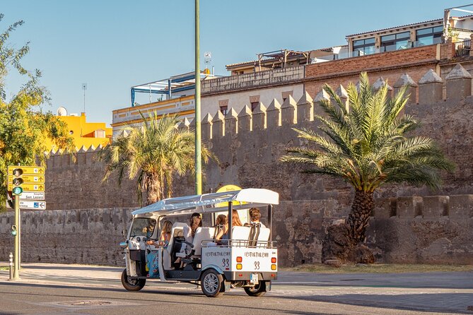 Welcome Tour to Seville in Private Eco Tuk Tuk - Common questions