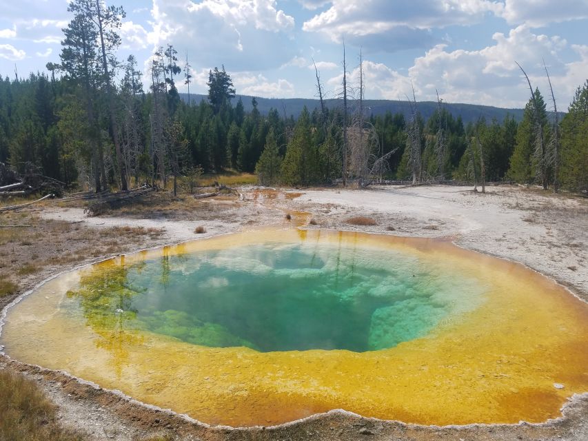 Yellowstone: Upper Geyser Basin Guided and Audio Tour - Common questions