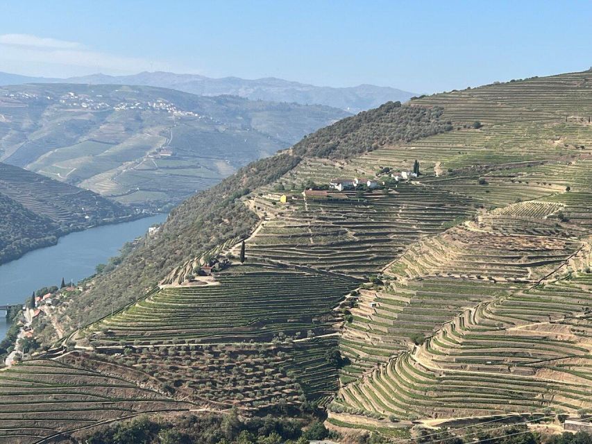 Douro Valley:Expert Wine Guide,Boat, Wine, Olive Oil & Lunch - Tour Operation Details