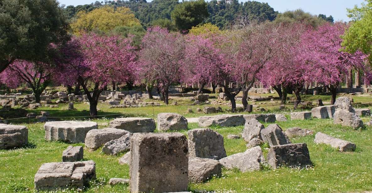 From Athens: Private Day Trip to Ancient Olympia - Final Words
