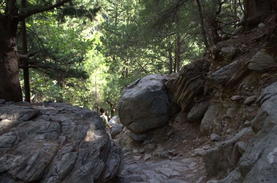 From Chania : Full-Day Samaria Gorge Hike - Final Words