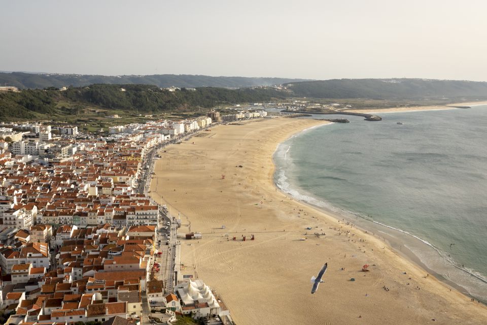 From Lisbon: Day Trip to Porto, Óbidos, and Nazaré - Common questions