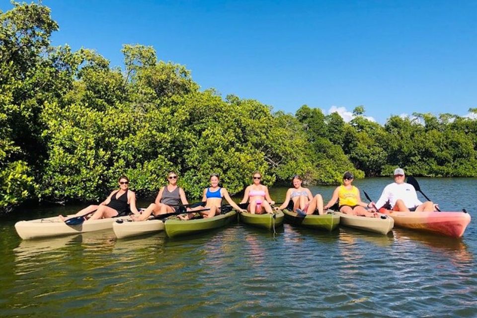 From Naples, FL: Marco Island Mangroves Kayak or Paddle Tour - Final Words