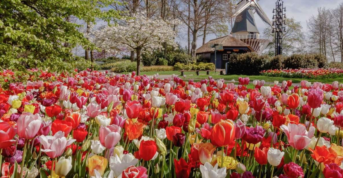 From Schiphol Airport: Keukenhof Entry and Public Bus Ticket - Activity Details