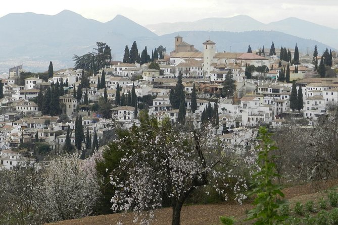 Granada Day Trip: Alhambra & Nazaries Palaces From Seville - Common questions