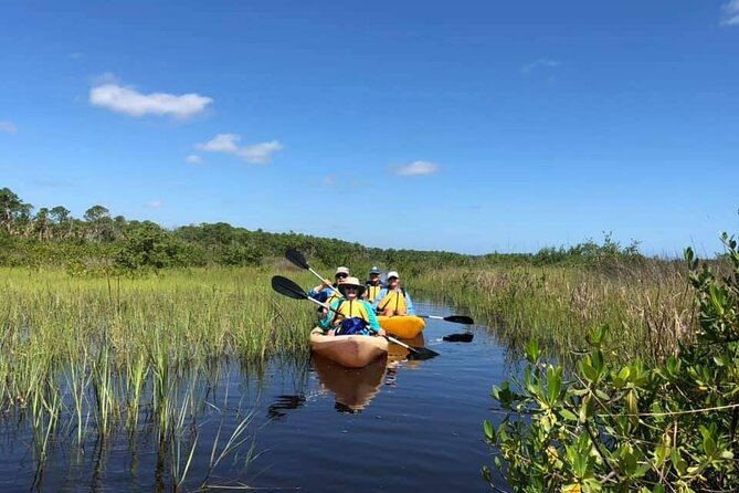 Guided Wildlife Eco Kayak Tour in New Smyrna Beach - Final Words