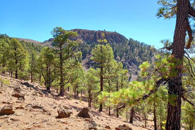 Hiking in Tenerifes Great Outdoors - Cancellation Policy