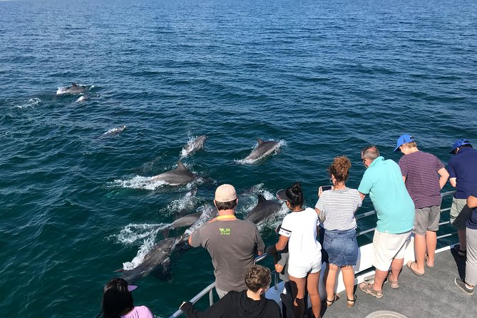 Jervis Bay Dolphin Cruise - Booking and Cancellation Policy
