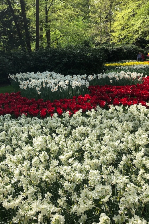 Keukenhof, Flower Fields & Zaanse Schans Windmills Tour - Attraction Highlights