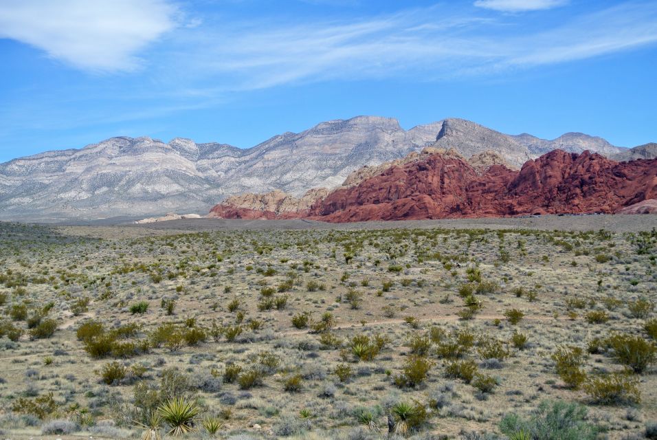 Las Vegas: Mojave, Red Rock Sign and 7 Magic Mountains Tour - Common questions