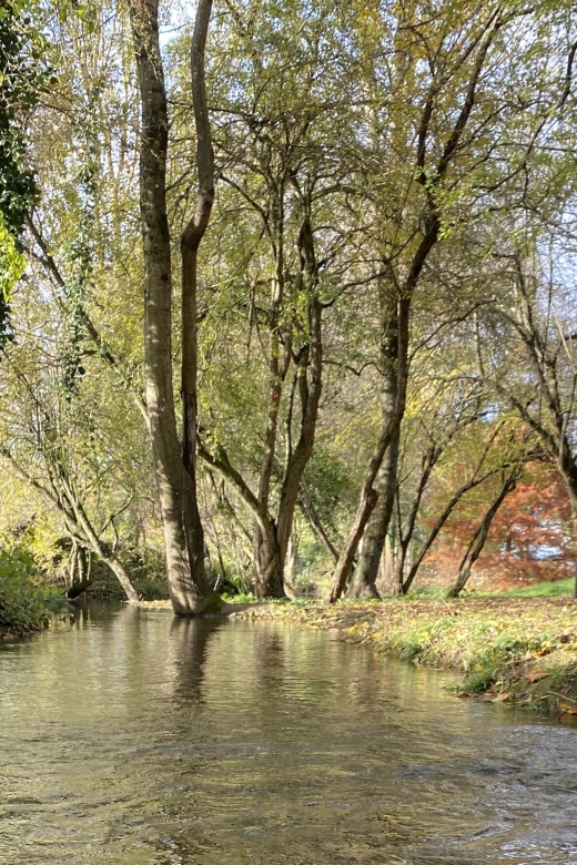 Lyon: Self-Guided Hike off the Beaten Track (Train & Picnic) - Directions