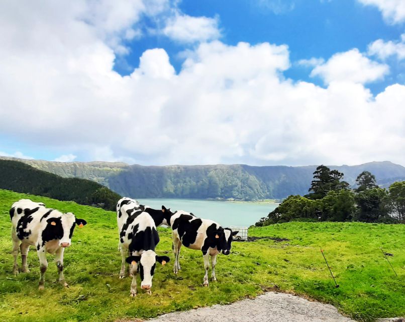 Mystic Lakes of 7 Cidades & Lagoa Do Fogo Guided Tour - Final Words