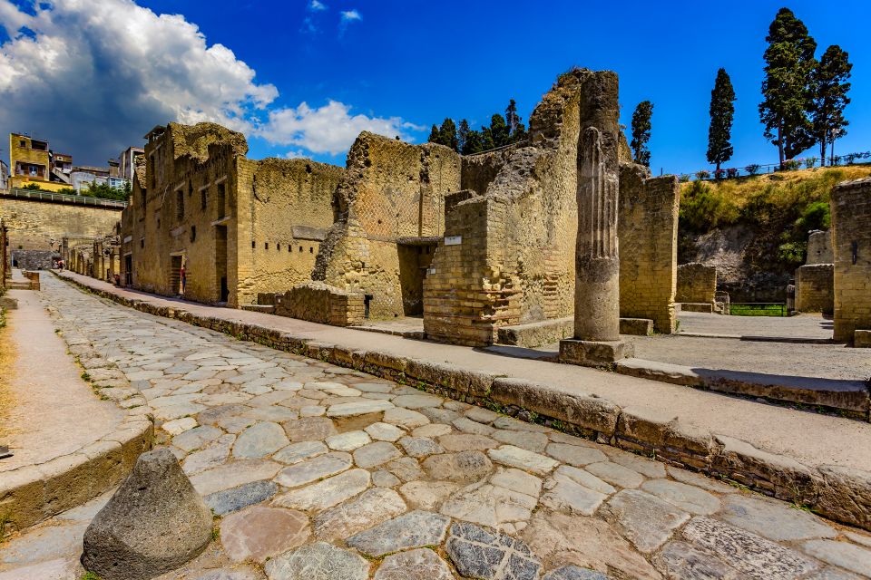 Pompeii and Herculaneum: Private Tour With Transportation - Final Words