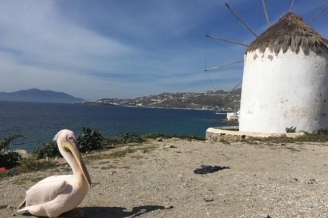 Private Tour: Mykonos Island in Half a Day - Common questions