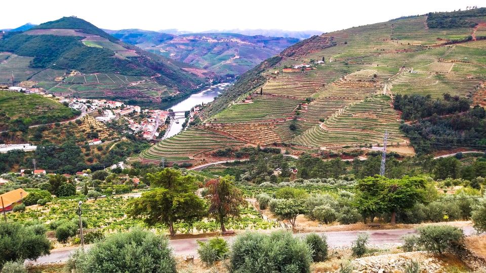 Private Tour to Stunning Douro Valley and Renowned Wineries - Final Words