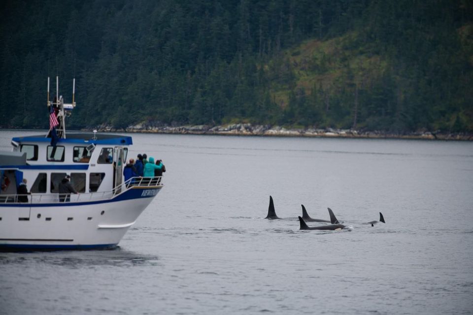 Seward: Kenai Fjords National Park Extended Cruise - Common questions