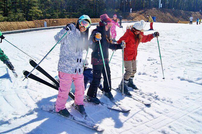 Snow or Ski Day Trip to Elysian Ski Resort From Seoul - No Shopping - Why Choose This Ski Day Trip