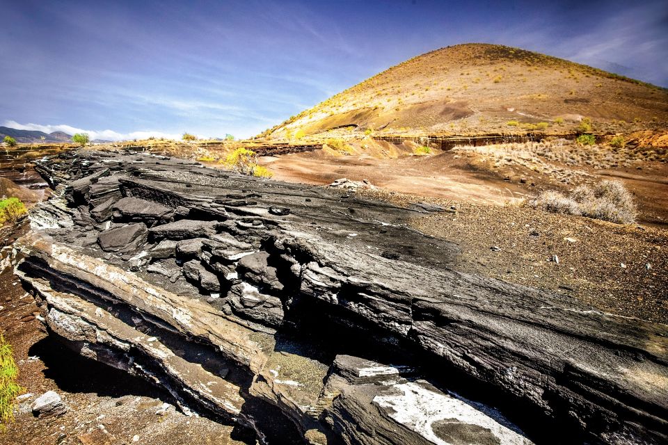 Tenerife Private Tour: Full-Day Volcanic South - Common questions