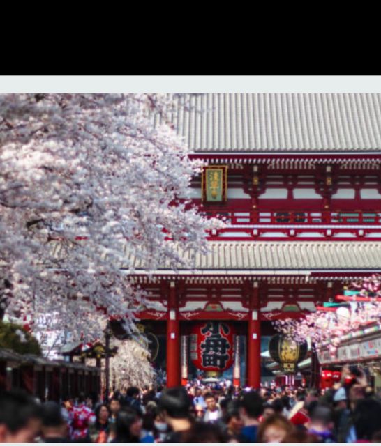 Tokyo Private Tour: Customizable (Up-To 6 Persons) - Final Words