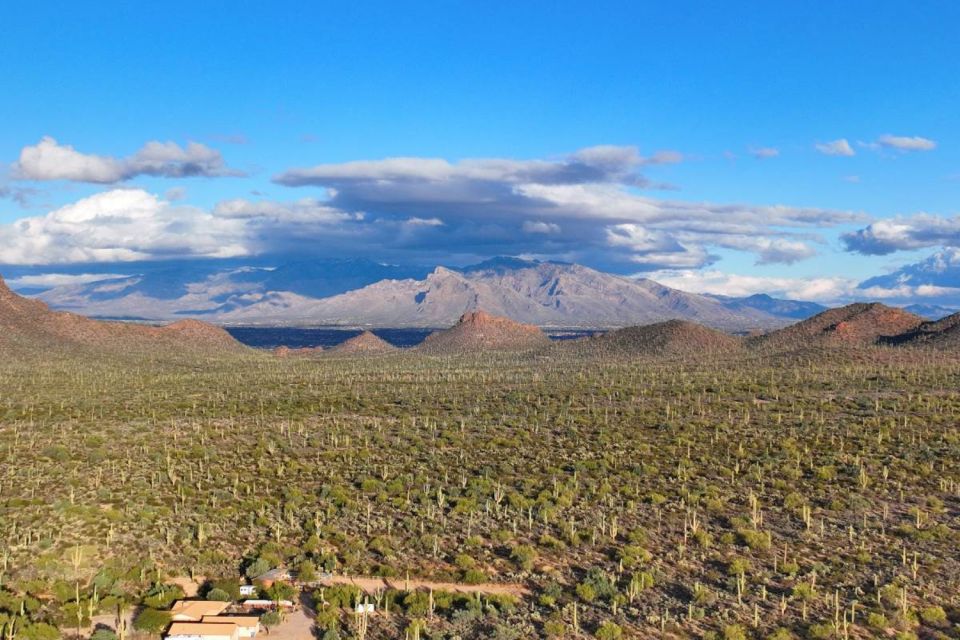 Tucson: Mt Lemmon & Saguaro NP Self-Guided Bundle Tour - Final Words