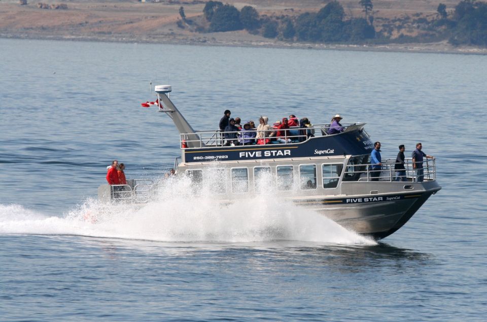 Whale Watching Tour in Victoria, BC - Experience