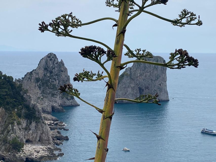 Capri Private Day Tour With Private Island Boat From Rome - Final Words