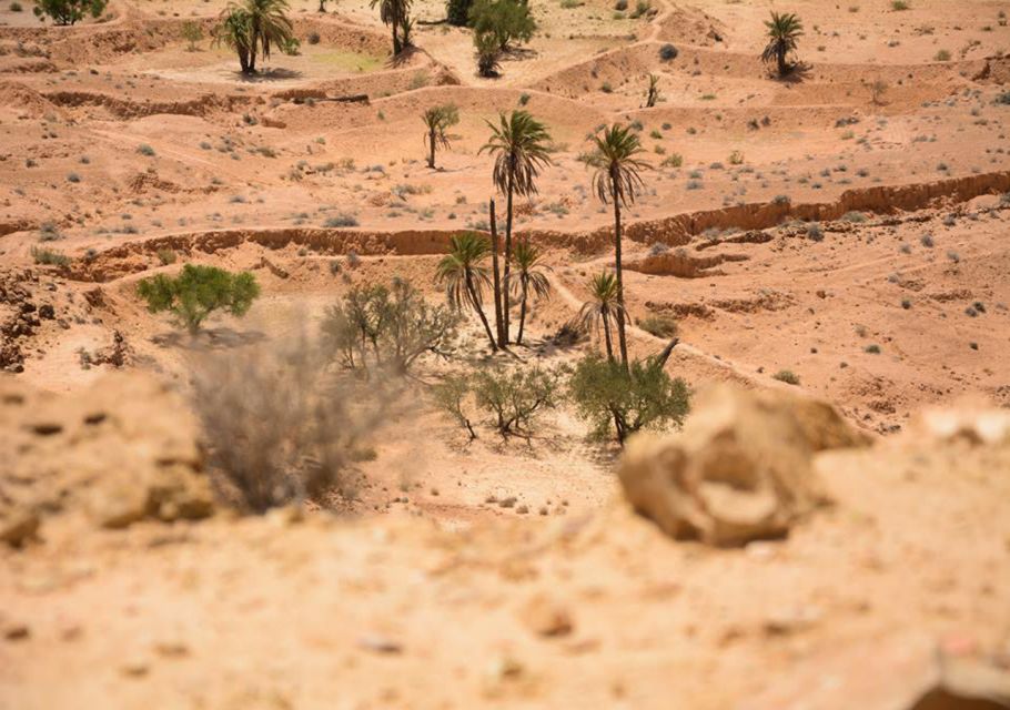 Djerba-Zarzis: Tataouine, Chenini and Ksar Hadada Day Tour - Final Words