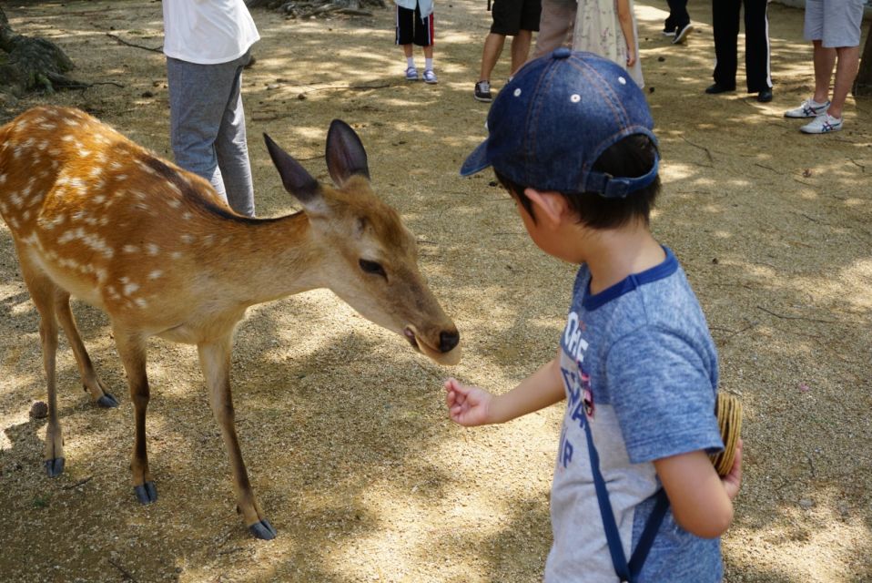 Kyoto and Nara Golden Route 1 Day Bus Tour From Kyoto - Final Words