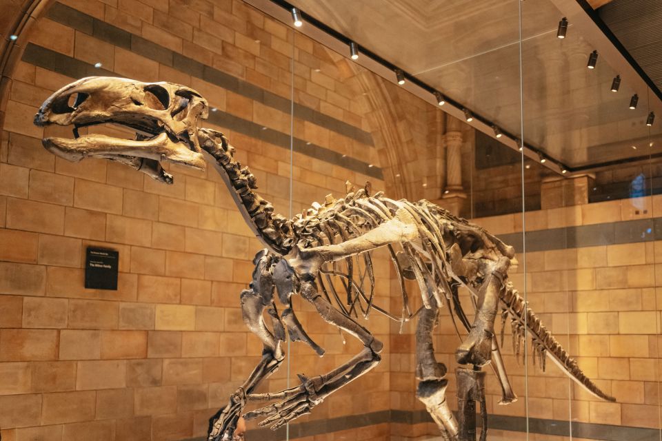 London: Natural History Museum Private Guided Family Tour - Final Words