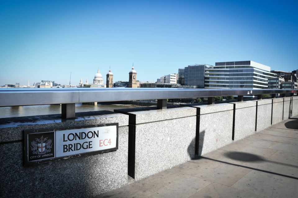 London: Top 15 Sights Walking Tour and London Eye Ride - Buckingham Palace Visit