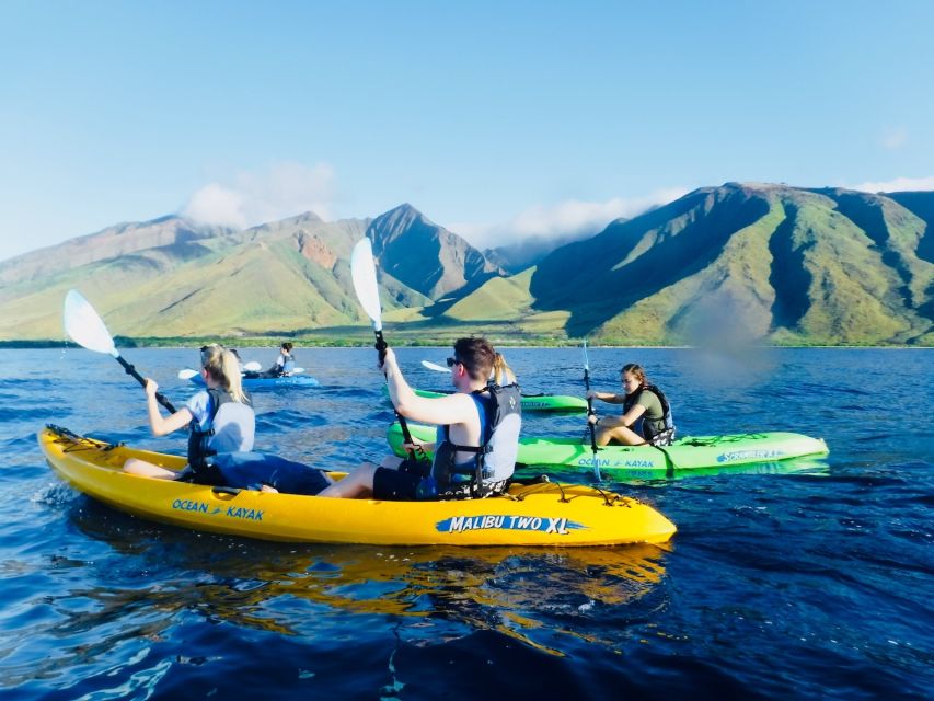Maui: West Side Discovery Kayak & Snorkel From UKUMEHAME - Final Words