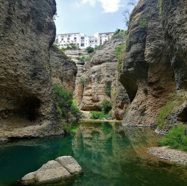 Pueblos Blancos & Ronda: Private Full-Day Tour From Seville - Common questions