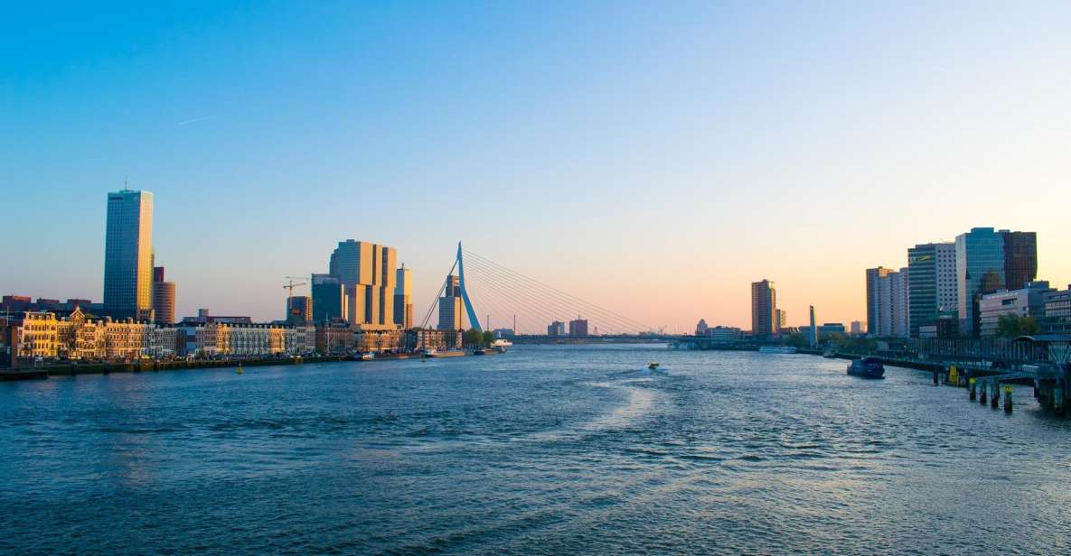 Rotterdam Walking Tour and Harbor Cruise - Common questions