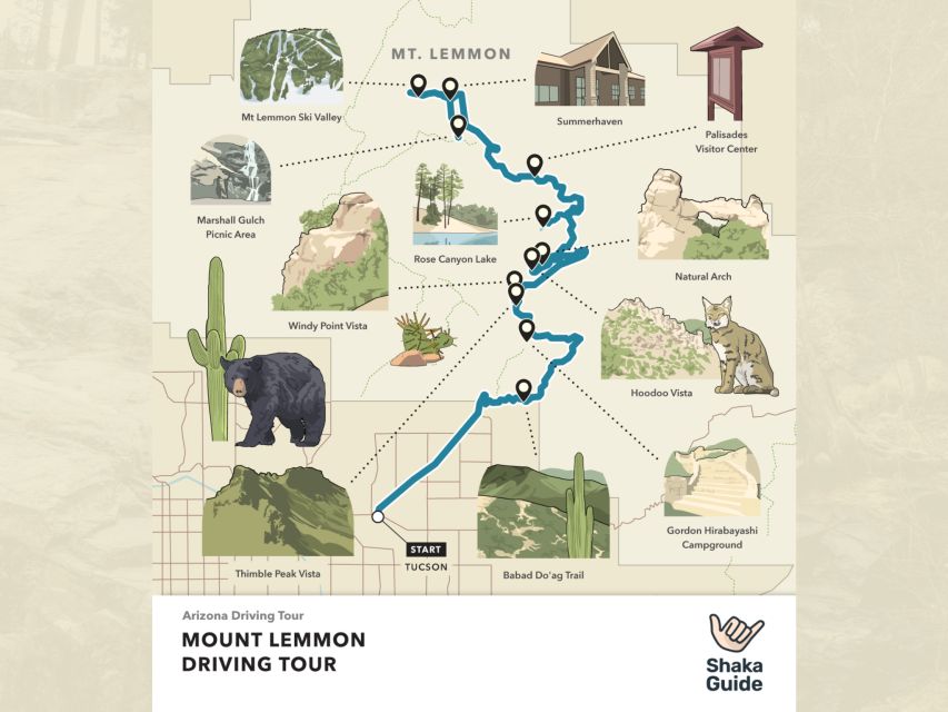 Tucson Tour: Saguaro & Mt. Lemmon Self-Guided Audio Tour - Common questions