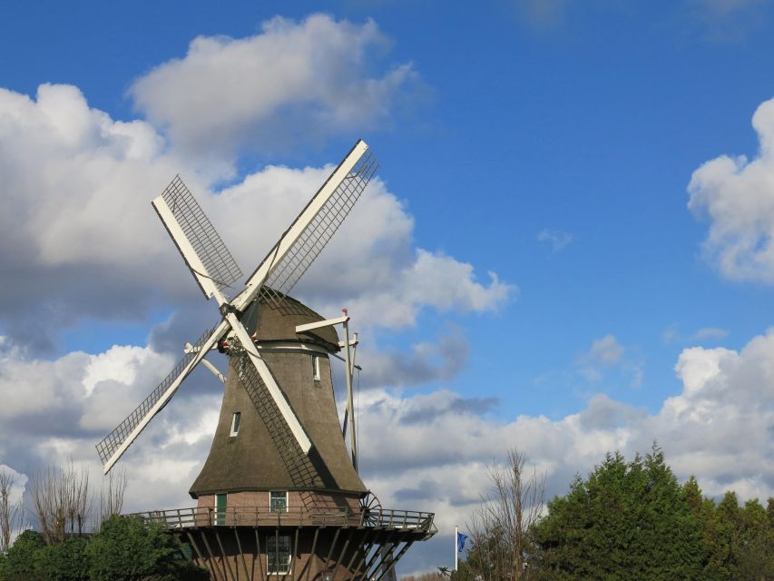 Amsterdam: Windmill Guided Tour - Key Points