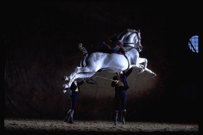 Andalusian Horses Dance Show - Key Points