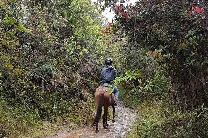 Andes Mountains Horseback Riding - Overview of the Horseback Riding Tour
