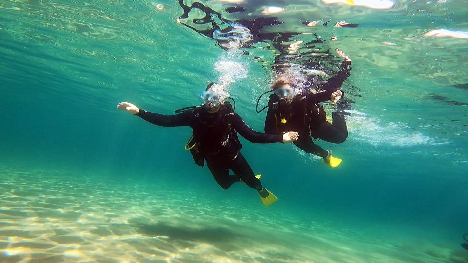 Athens East Coast: Discover Scuba Diving in Nea Makri - Key Points
