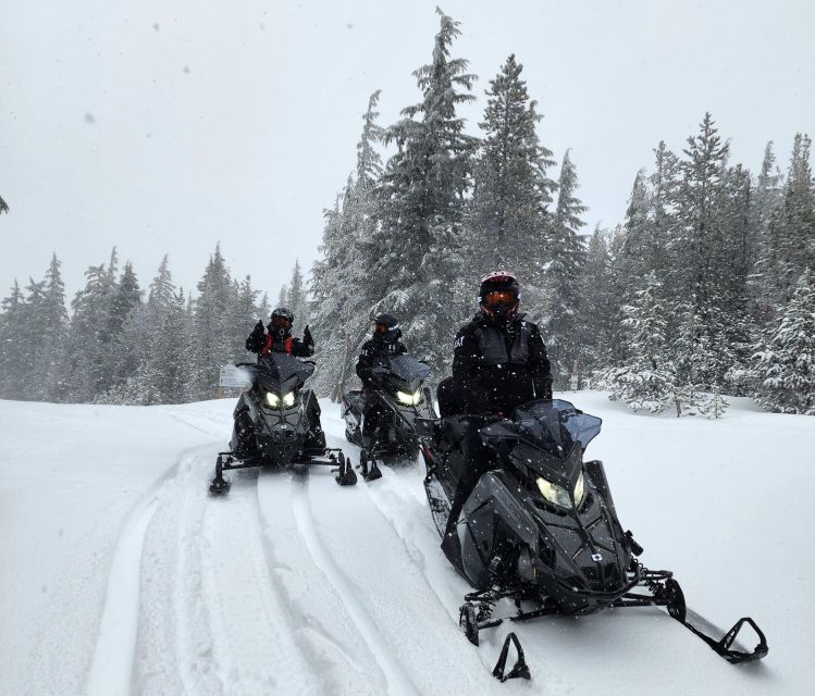 Bend: Guided Snowmobile Tours In National Volcanic Monument - Key Points